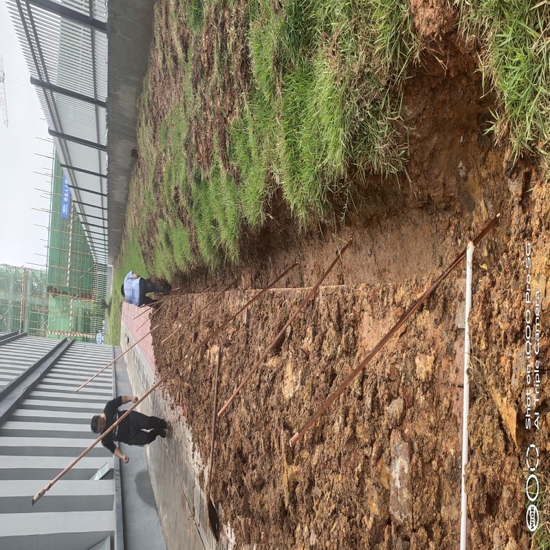 安装垂直接地极