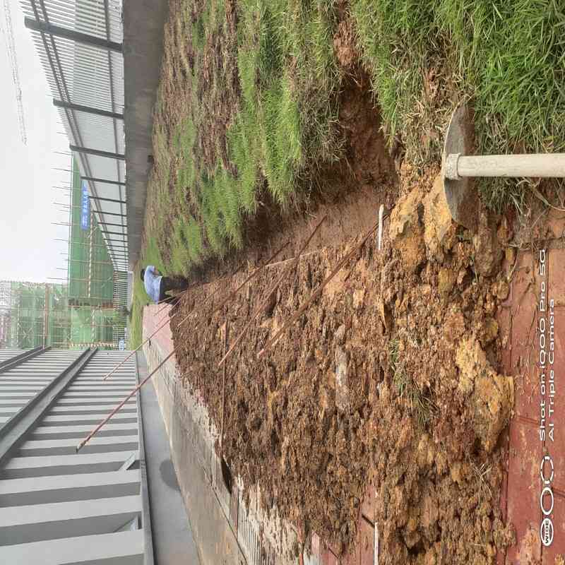 湛江农产品加工ESD工程_接地工程_独立地线_设备地_防静电接地